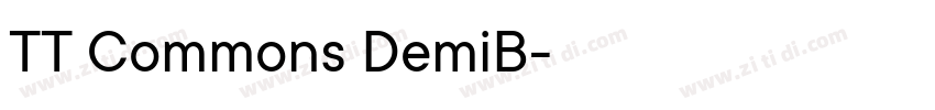 TT Commons DemiB字体转换